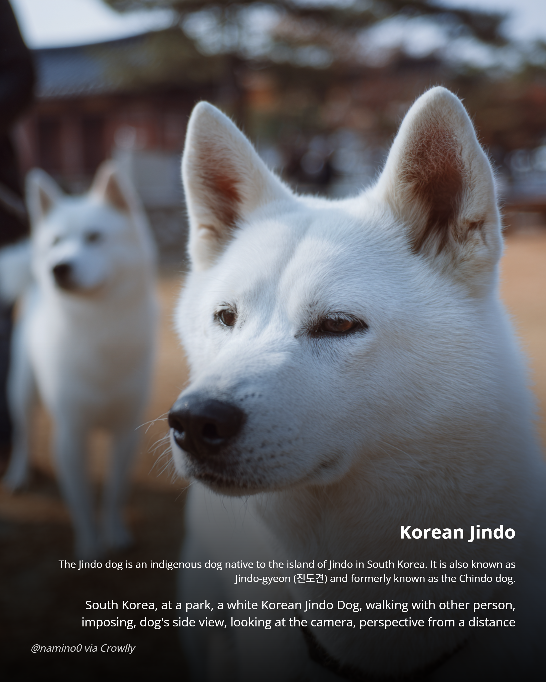 Prompt Card Builder - Screenshot 2 showing product features and functionality