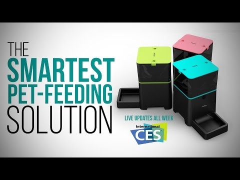 Petnet gallery image