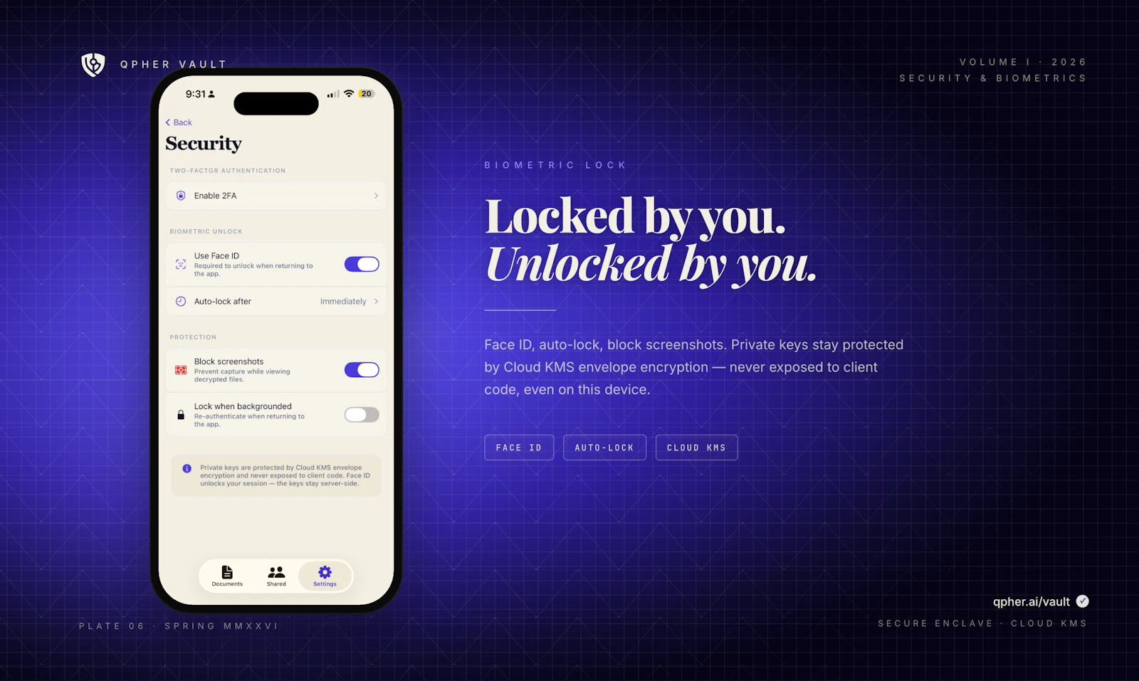 Qpher Vault screenshot 6