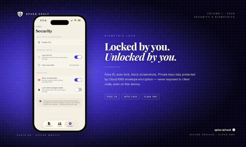 Qpher Vault screenshot 6