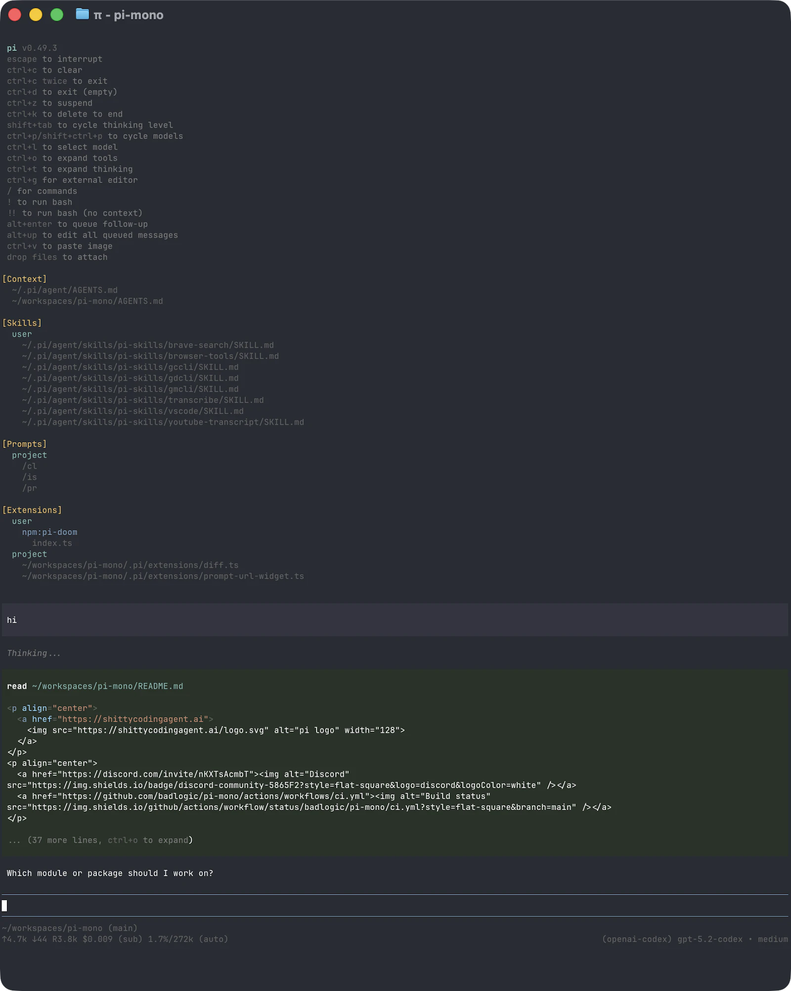 Pi Coding Agent screenshot 5