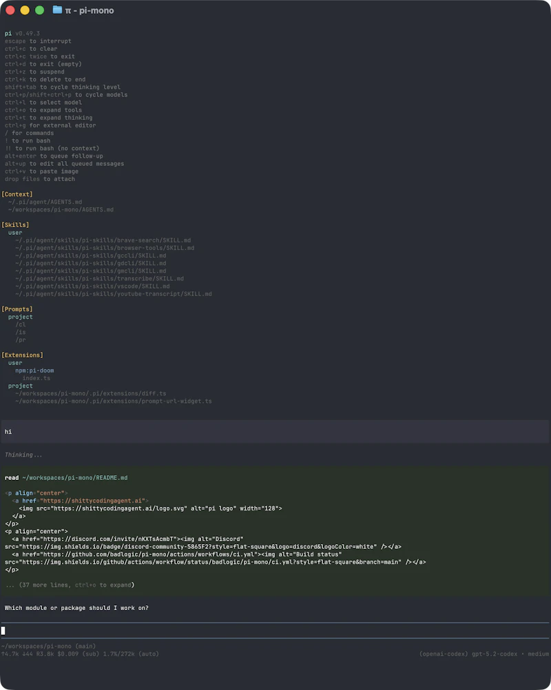 Pi Coding Agent screenshot 5