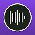 Dark Noise
