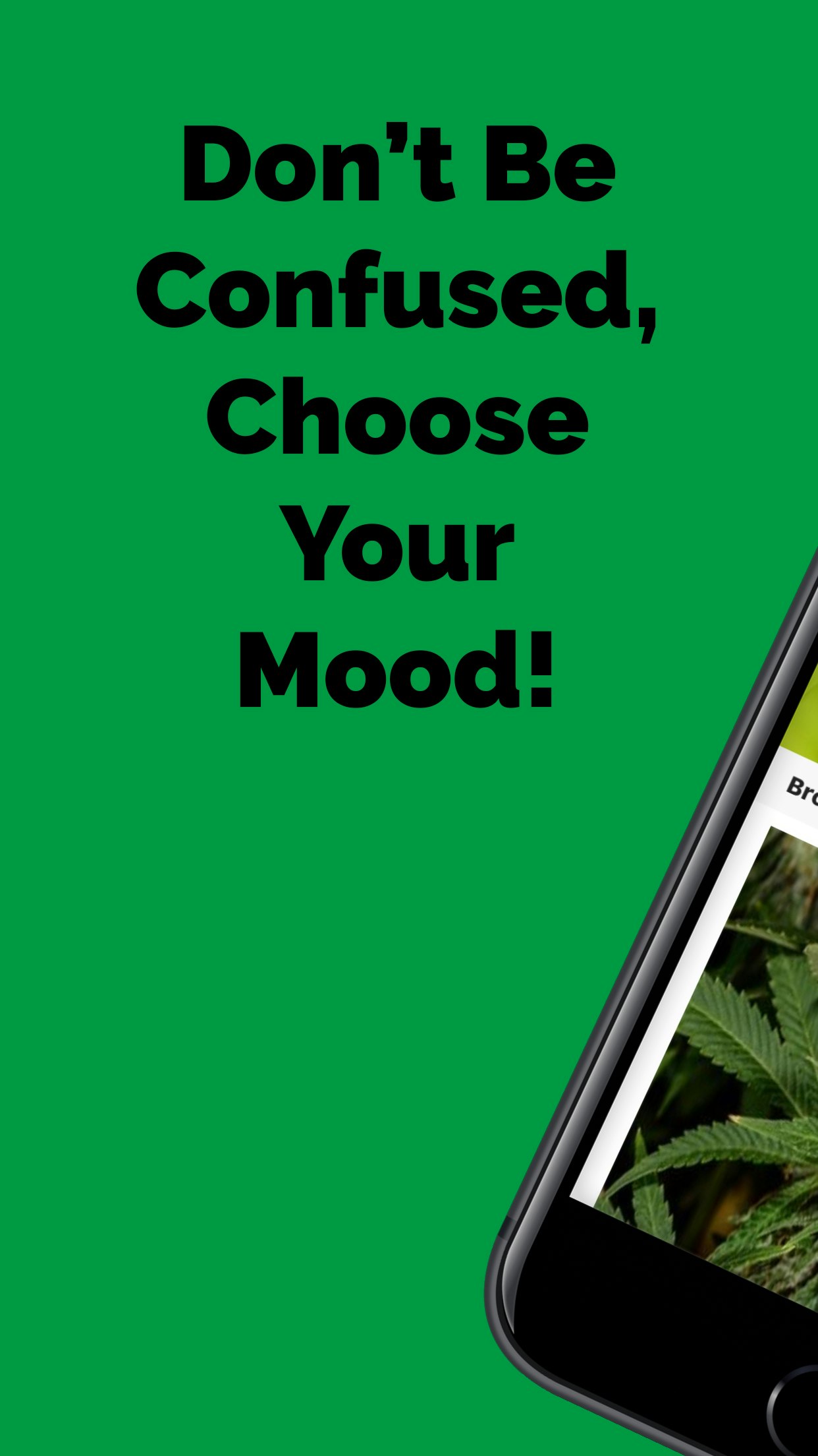 Greenery Maps gallery image