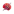 Viewer Lens