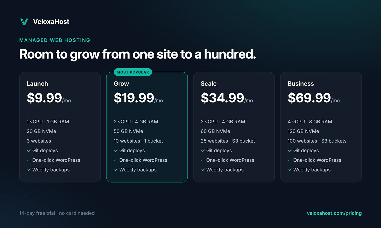 VeloxaHost screenshot 2
