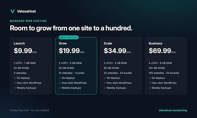 VeloxaHost screenshot 2