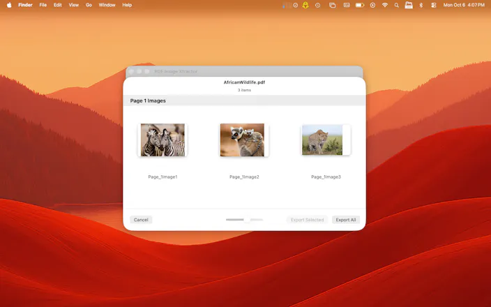 PDF Image Xtractor gallery image