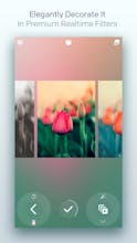Live Focus gallery image