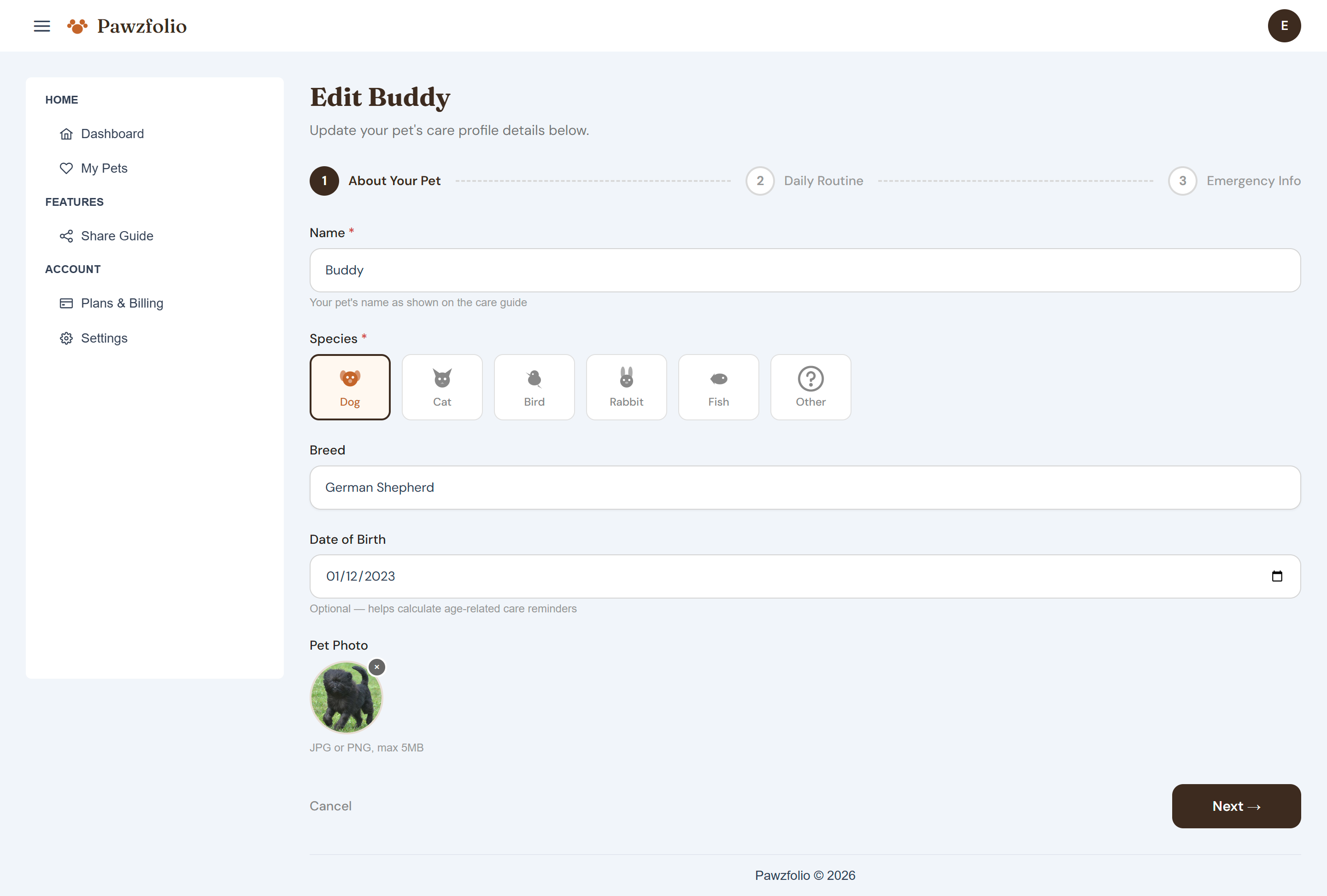 Pawzfolio gallery image