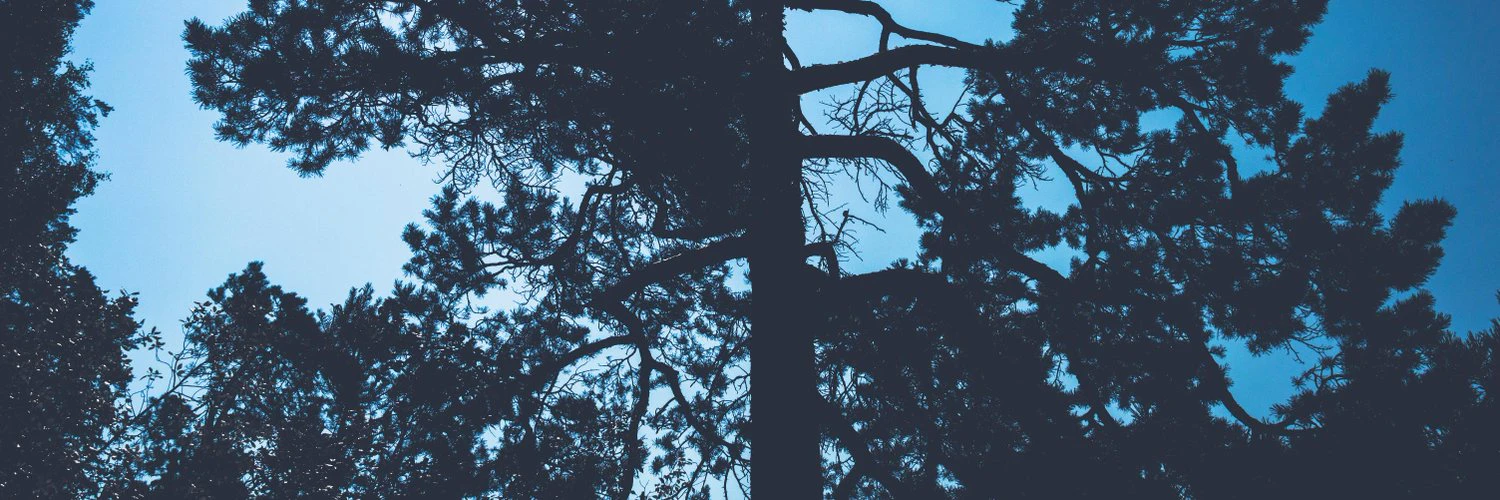 Bartłomiej Jacak cover