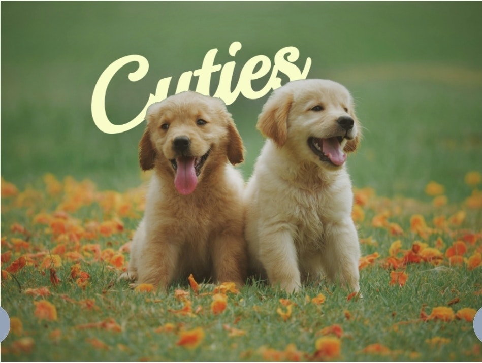 OverlayText AI gallery image