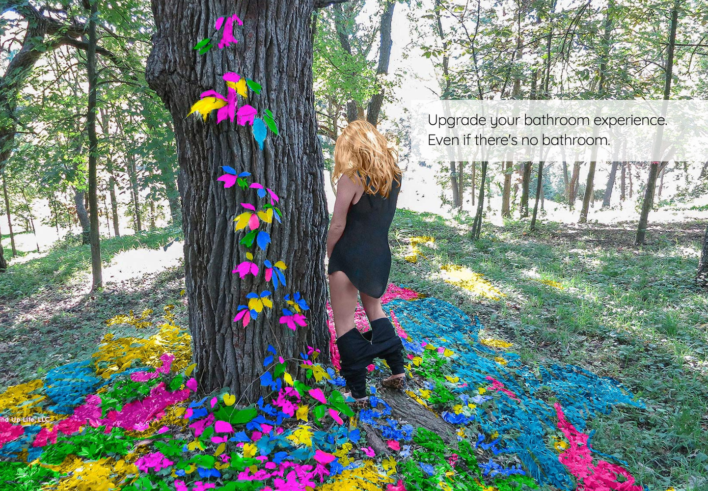 The Stand Up gallery image