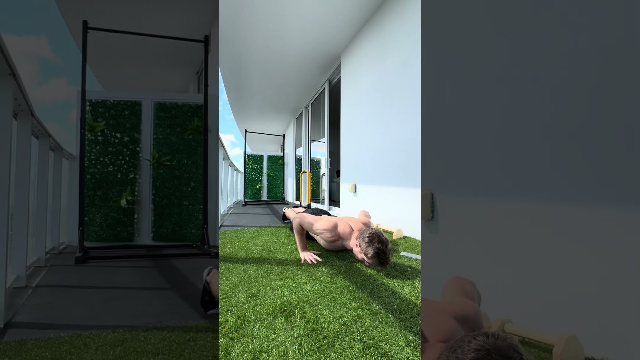 BodyTree — Master Calisthenics gallery image