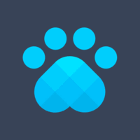 100 Days of Code VS Code Extension