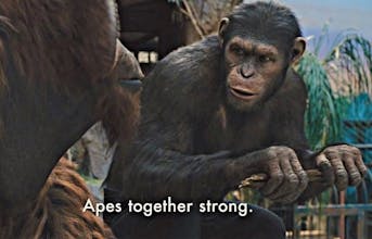 AutoBacklink gallery image