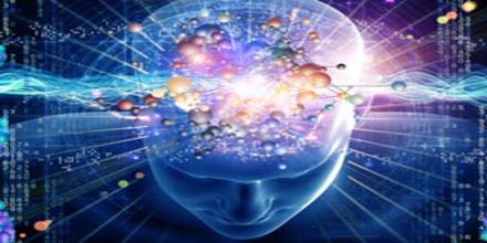 Cognitive Science Assignment Help