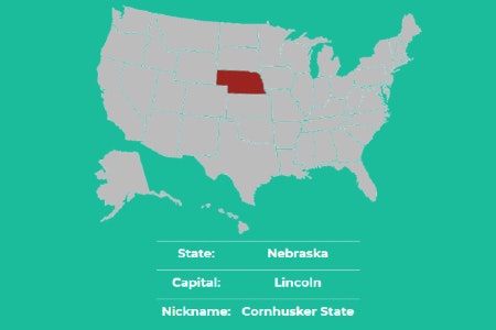 Useful Homepage gallery image