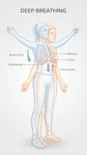 Daily 10 Minutes Exercise Body & Energy gallery image