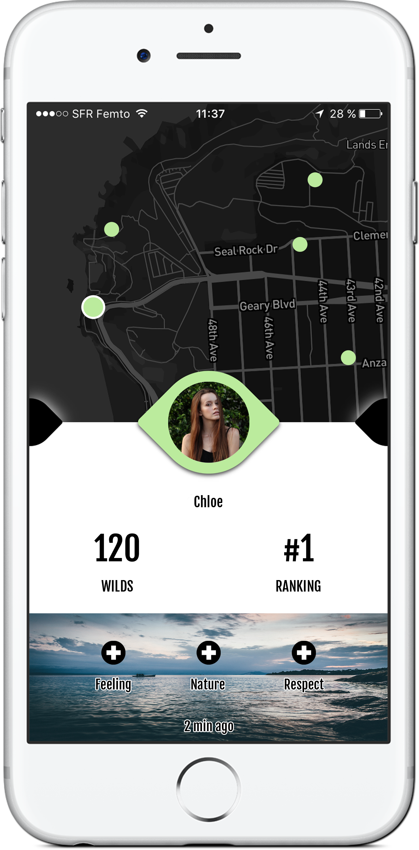 Wild it gallery image