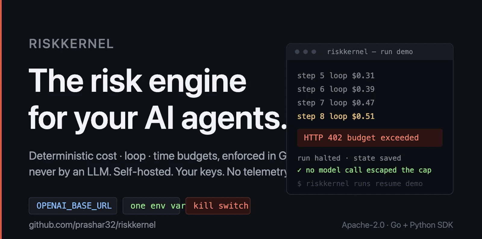 RiskKernel screenshot 1