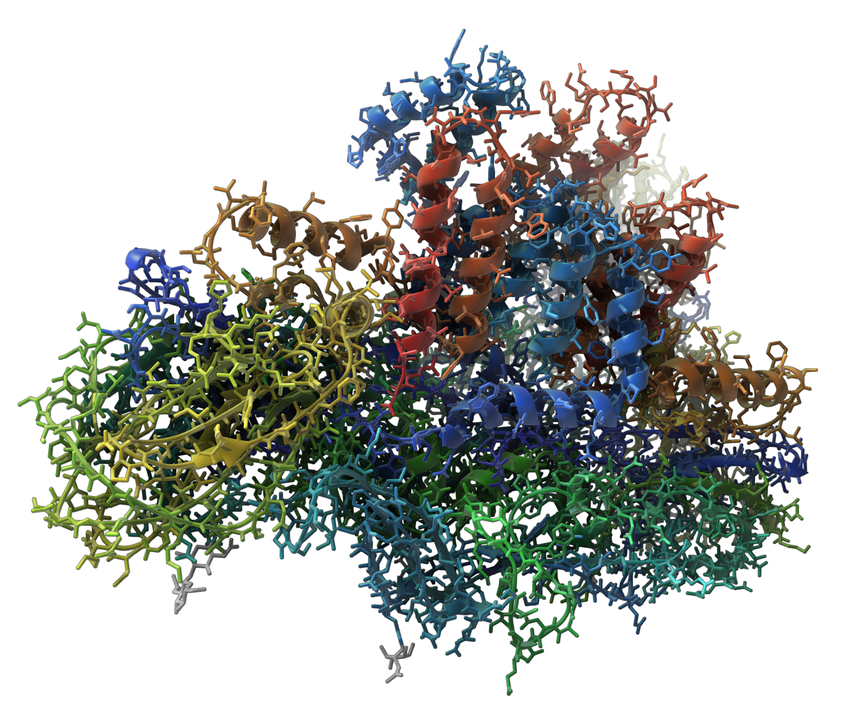 SAMSON gallery image