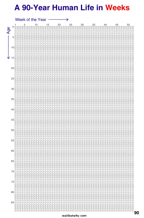 Your Life In Weeks Image