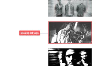 Compadre gallery image