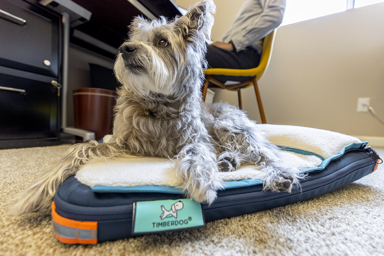 Ruffrest® Ultimate Dog Yatak - James Bond ve Müfettiş Gadget bir köpek yatağı yapsaydı medya 20