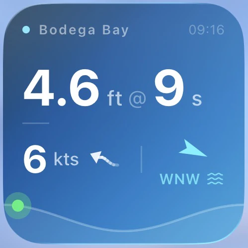 Buoy Bro  logo