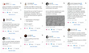 Anti-LinkedIn gallery image