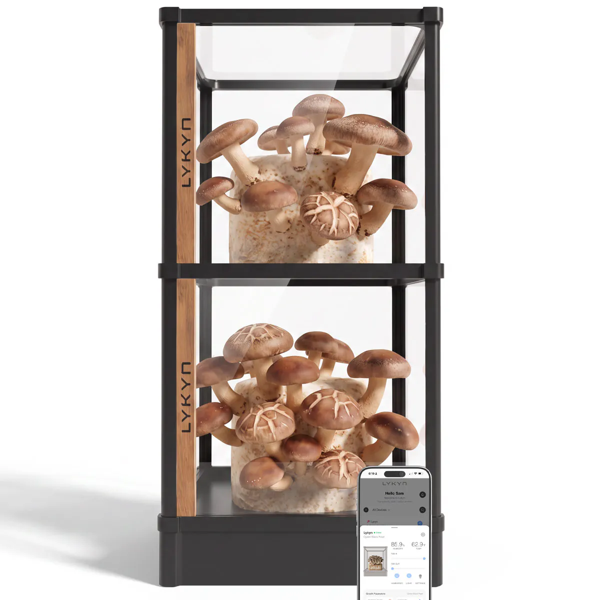 Lykyn Smart Mushroom Grow Box gallery image