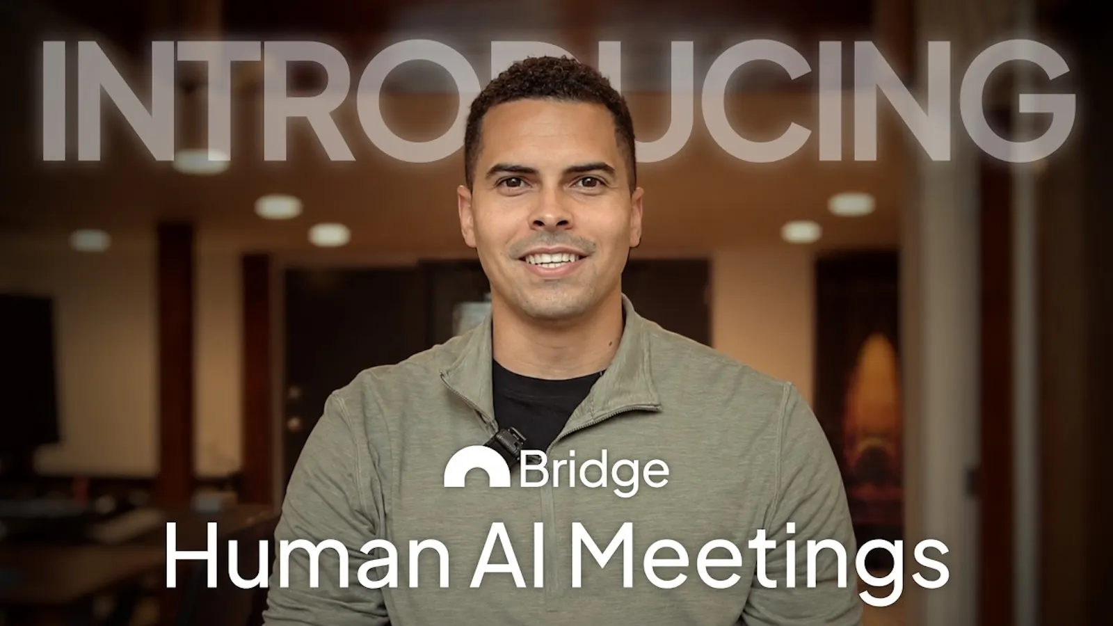 Bridge screenshot 1 (video preview)