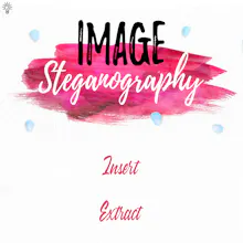Image Steganography App gallery image