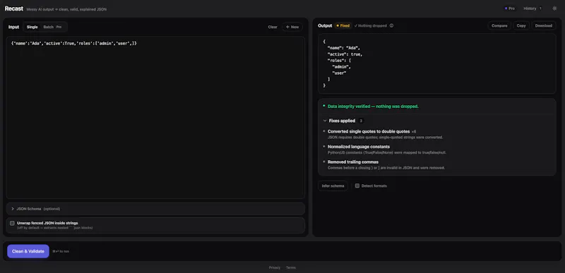 Recast Pro screenshot 2