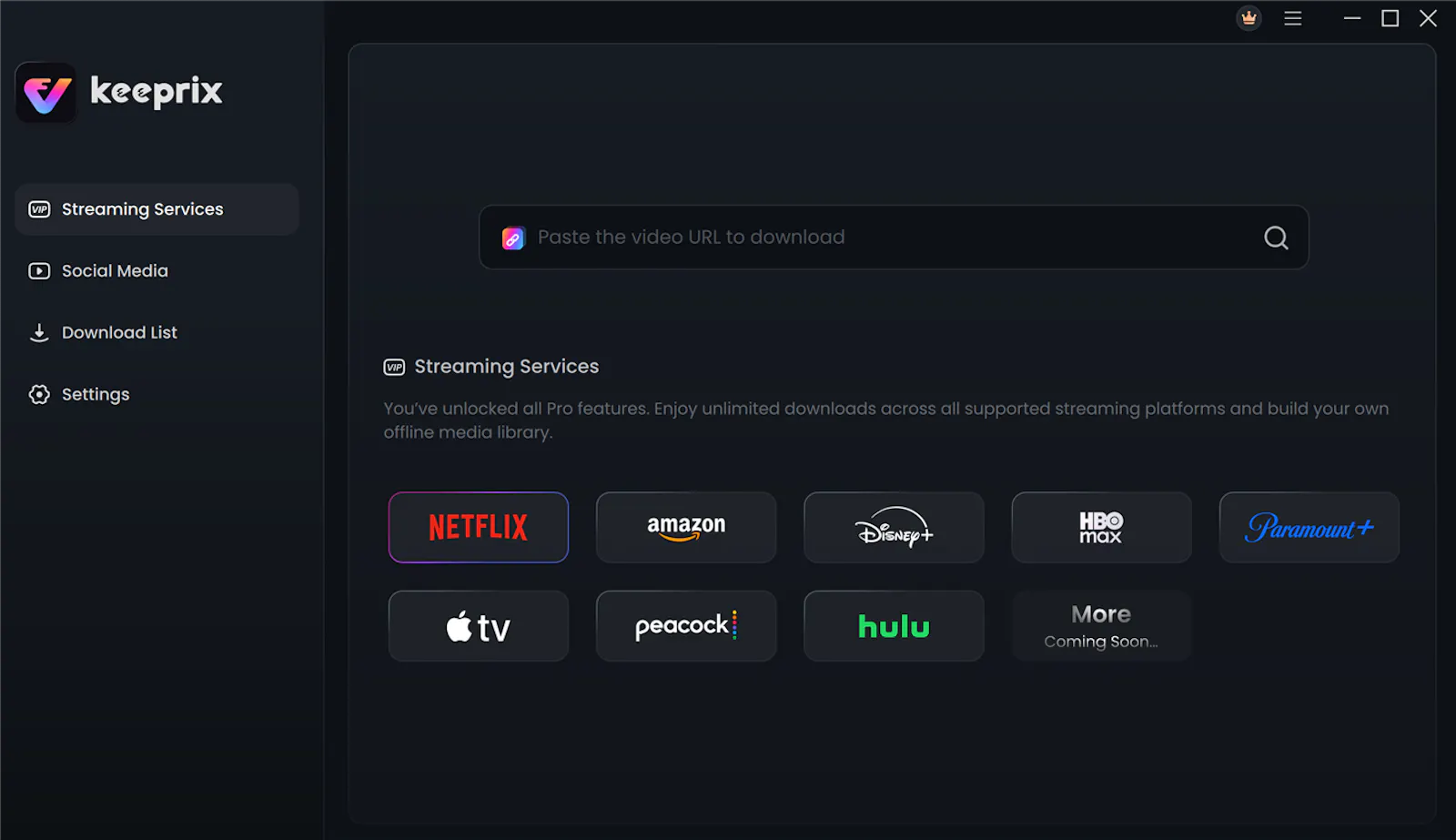 Keeprix Video Downloader screenshot 1