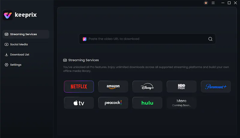 Keeprix Video Downloader screenshot 1