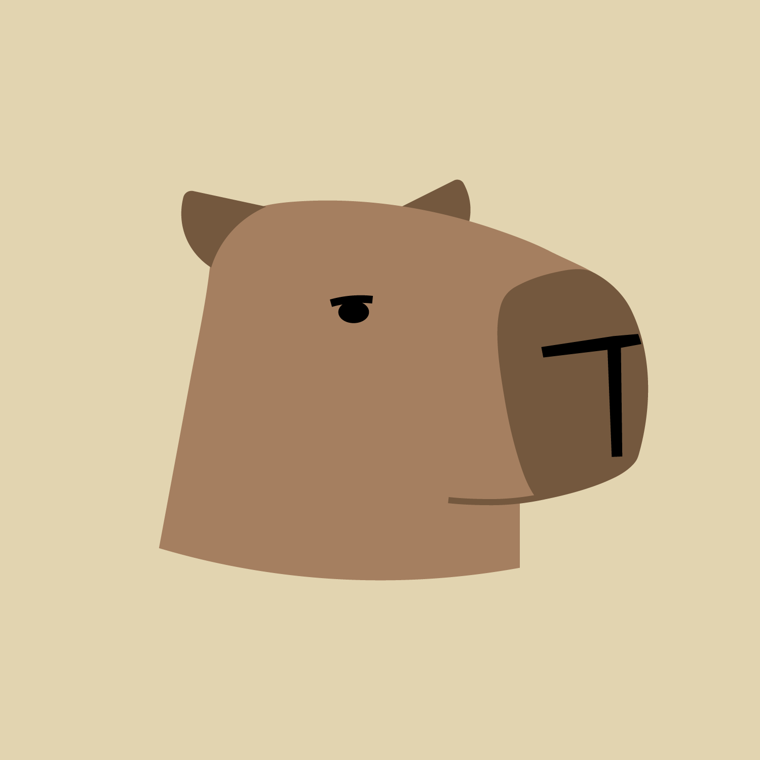 Capy Reader