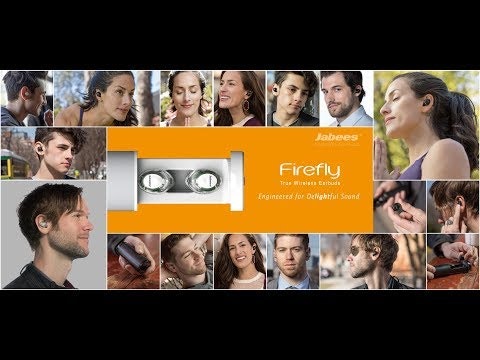 Firefly gallery image