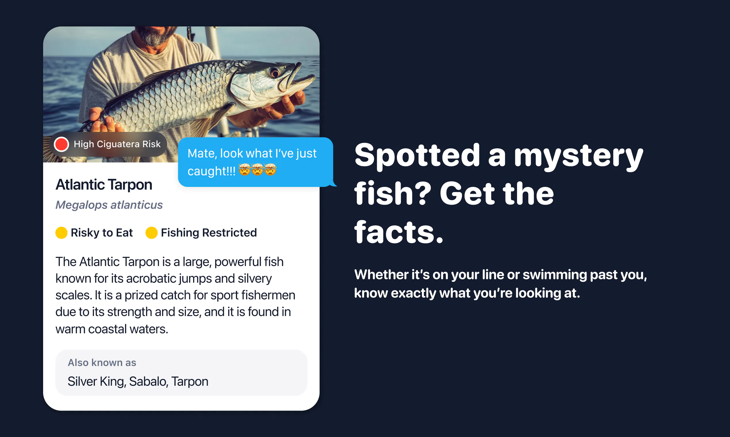 FishPic gallery image