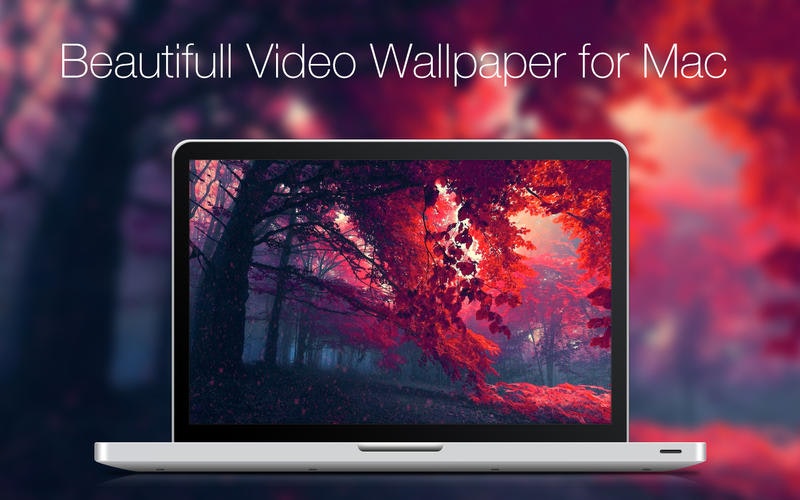 Live VideoWall gallery image