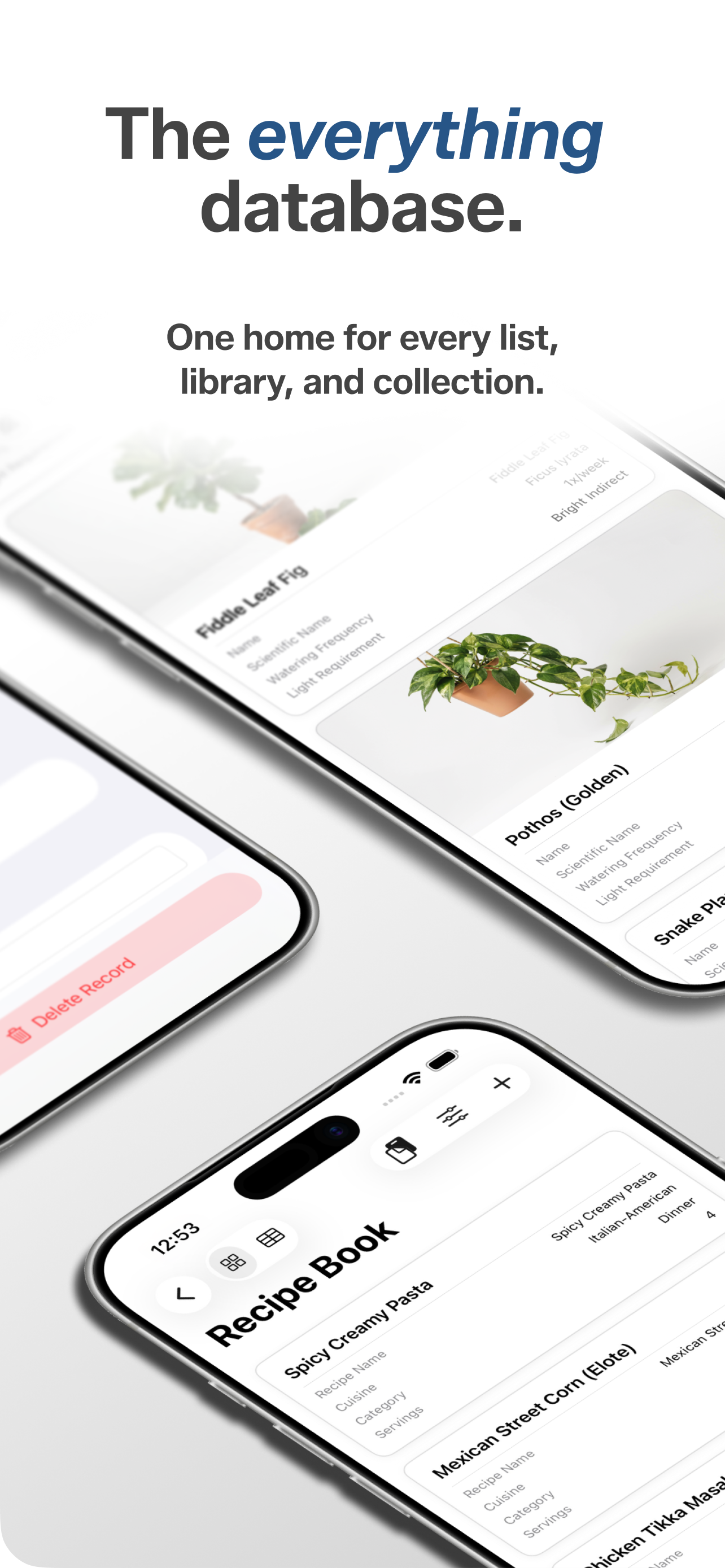 Day Base gallery image