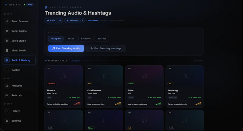 RobinOS screenshot 4