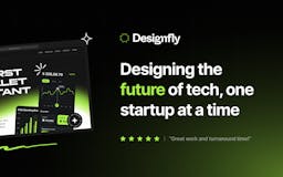 Designfly media 1