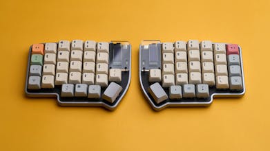 Lily Pad gallery image