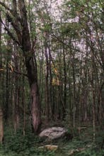 Offsite Camp gallery image