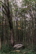 Offsite Camp gallery image