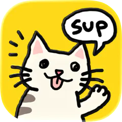 Catsup