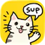 Catsup