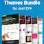 WordPress Themes bundle